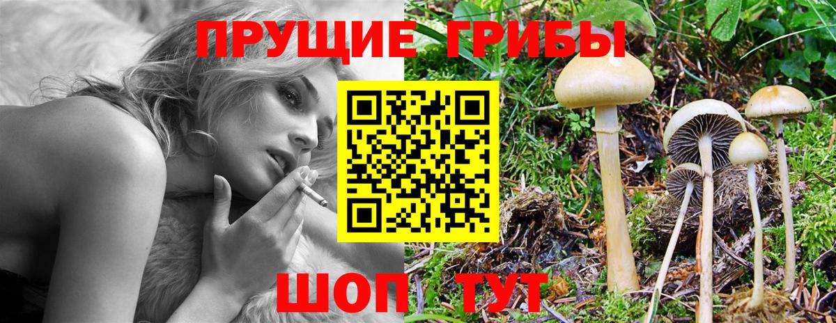 Галлюциногенные грибы GOLDEN TEACHER Тольятти